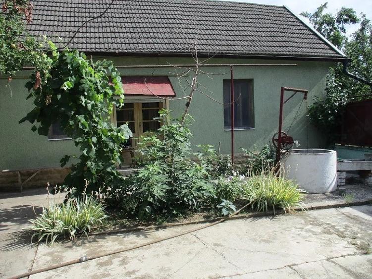 Casă cu 3 camere cu Teren 2910 Mp în Nădab