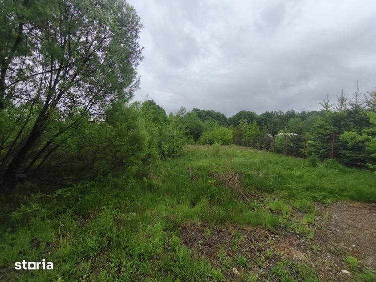 Teren de 2300 mp, în Pojorâta