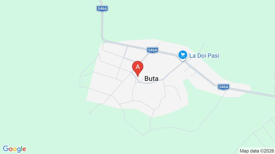 Casă individuală cu 4 camere cu Teren 5000 Mp în Buta