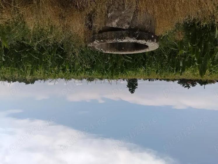 Casa de vanzare in Domanesti - 6