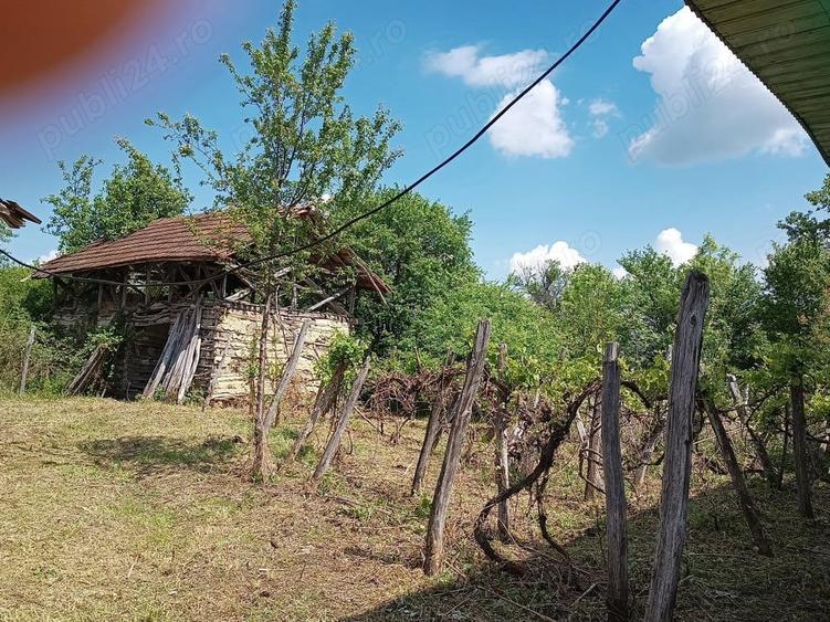 Vand teren cu casa nelocuibila de 7ani! - 2