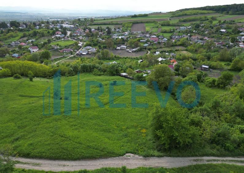 Teren de vanzare, Com. Racova, Str. Bradului, Bacau - 7