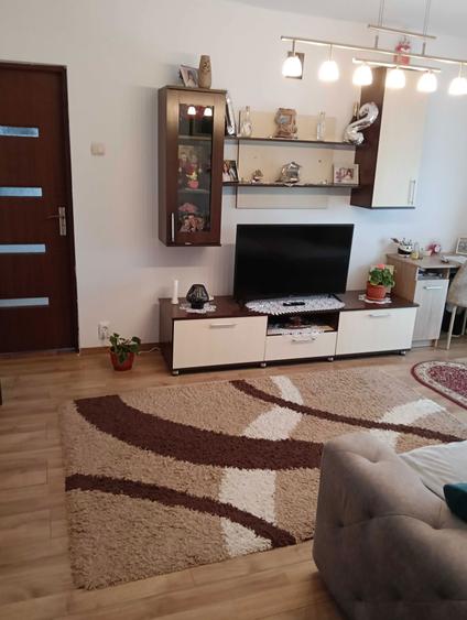 Apartament cu 3 camere in cartierul Vitrometan - 5