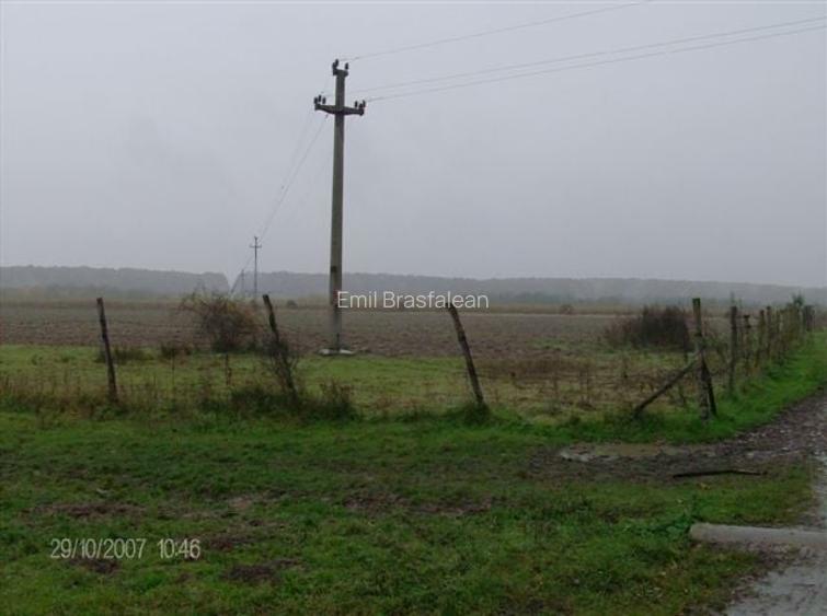 Teren de vanzare agricol si constructie hale cu posibila  legatura la curent
