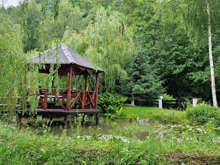 Complex Turistic - 900 mp utili -  teren 3000 mp - Piscina - zona turistica - 54