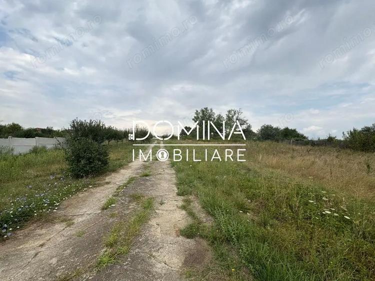 Vanzare teren 6800 mp intravilan ?i extravilan - comuna Calnic - sat Calnic - 2