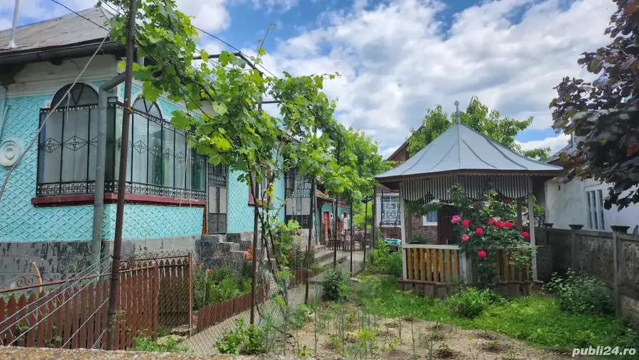 Vand 2 case + terenuri 9712mp in Barbule?u, Dambovi?a - 2