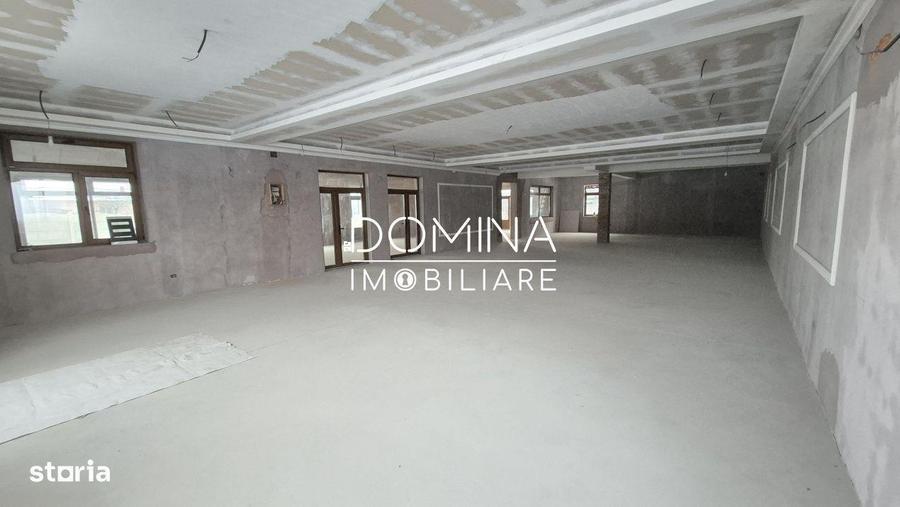 Inchiriere spatiu comercial/industrial, Com. Balteni, sat Vladuleni - 9