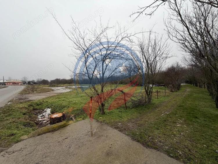 CASA CU TEREN 2500 MP LA 23 KM DE CRAIOVA CU TEAVA DE GAZE - 3