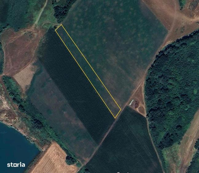 Teren de vanzare in Episcopia Oradea - 8