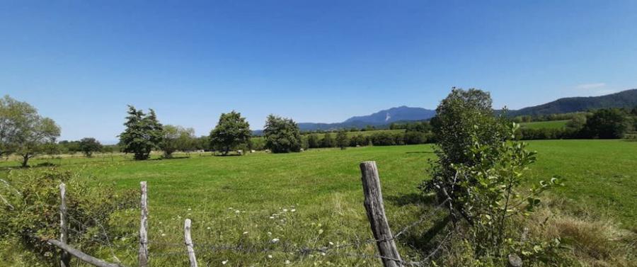 Teren 9350 mp Bran Livada, Extravilan - 3