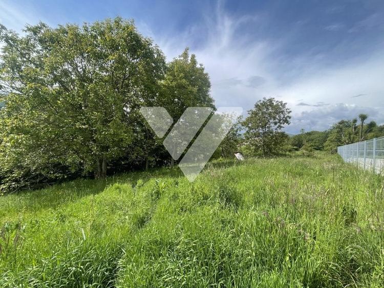 Teren Intravilan Constructii - Cisnadioara - Sibiu - 4