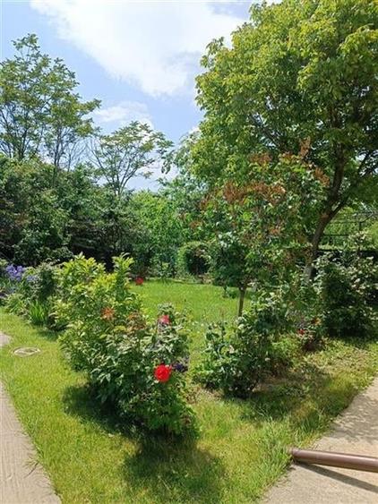 Casa Vila Titan Nicolae Grigorescu - 1