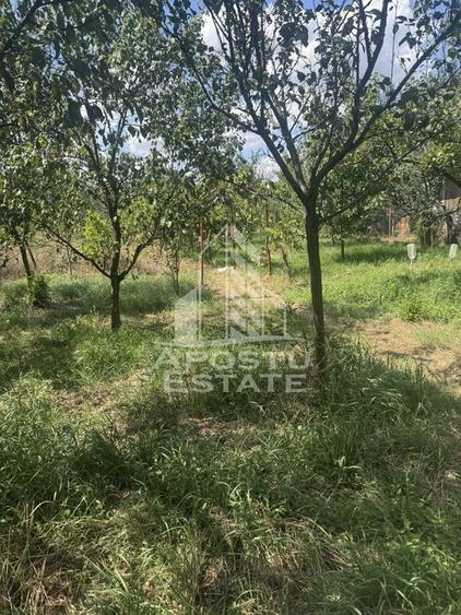 Casă unifamilială cu teren de 1504 mp - 19