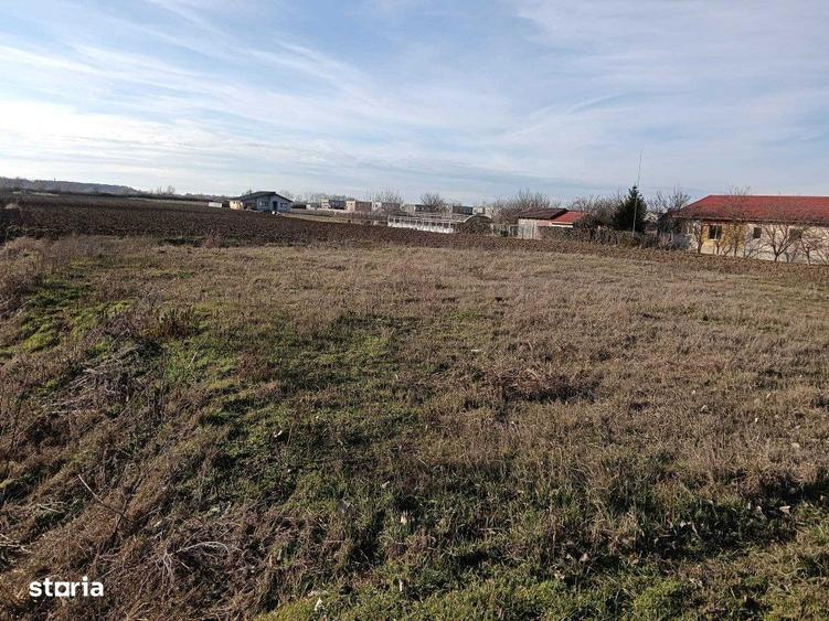 Teren intravilan investitie, Bucovat - 4