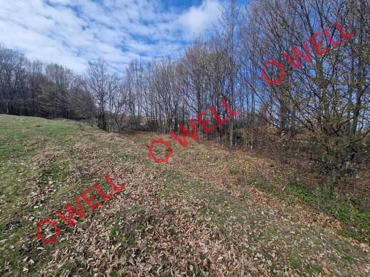 De vânzare teren extravilan în localitatea Brădet! - 9