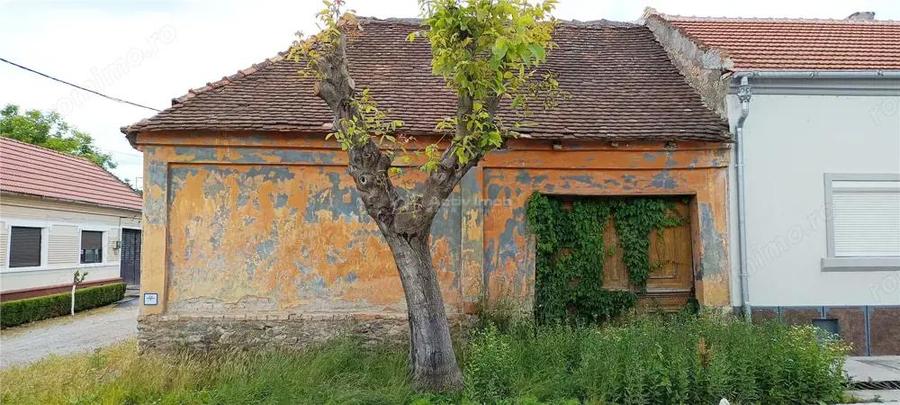 Casa in Moldova Veche - 1