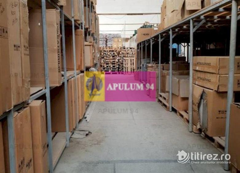Hală 3600mp zona de Sud a capitalei - 15