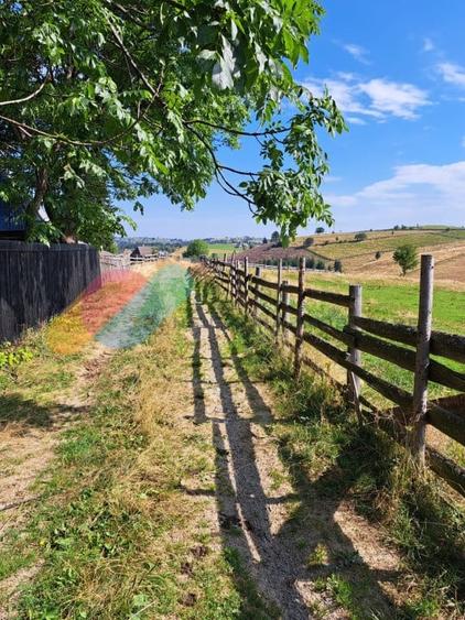 Teren Intravilan 1587 mp, Localitatea Maguri-Racatau - 5