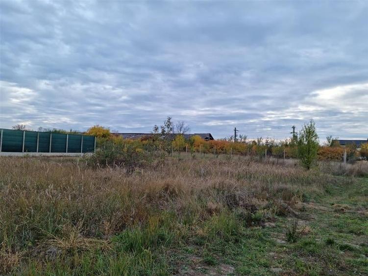 RECO teren intravilan 705 mp Osorhei - 1