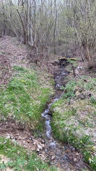 Oportunitate Teren extravilan 4000mp , Zona Baisoara - 2