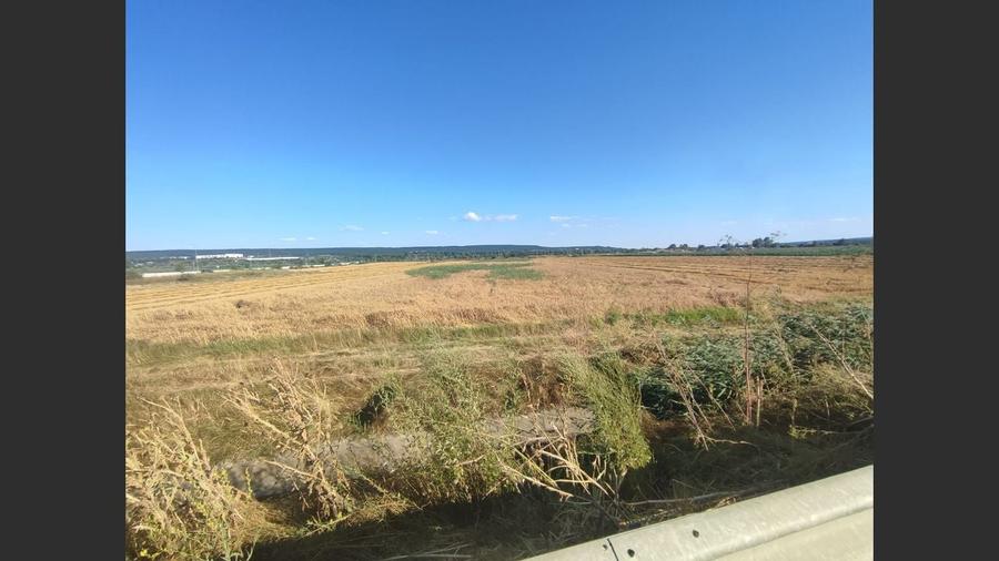 OFERTĂ PREMIUM – Teren intravilan 6.000 mp, Micești (Arges), pe DN 73 - 4