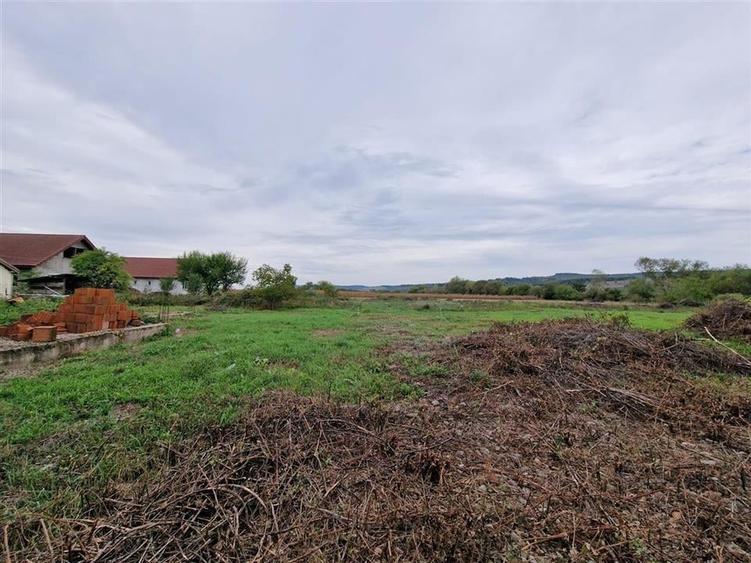 RECO teren intravilan Ineu - 2