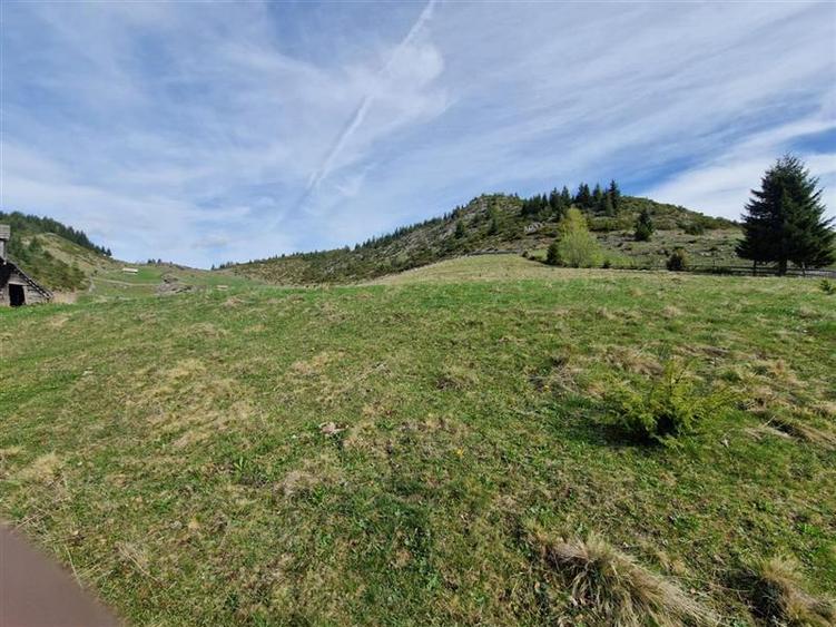 7.000 mp, pozitie spectaculoasa, fara vecini, Fundatica, Brasov - 14