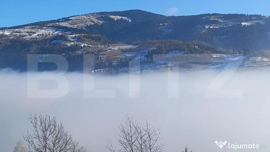 Teren de vanzare in Mun?ii Apuseni 10.831 mp, zona m - 3
