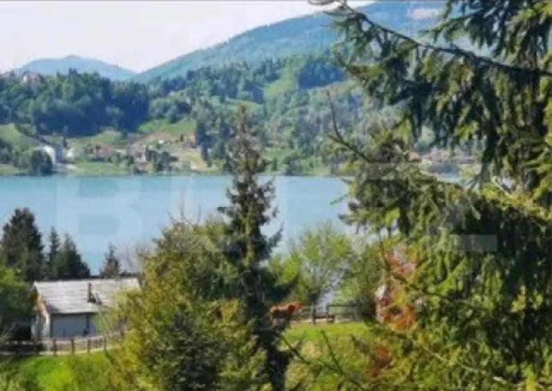 Teren Colibita, 1120 mp - 7