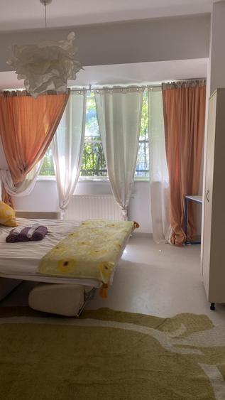 Vila individuala Victoriei pretabil birouri clinica restaurant rezidenta - 10