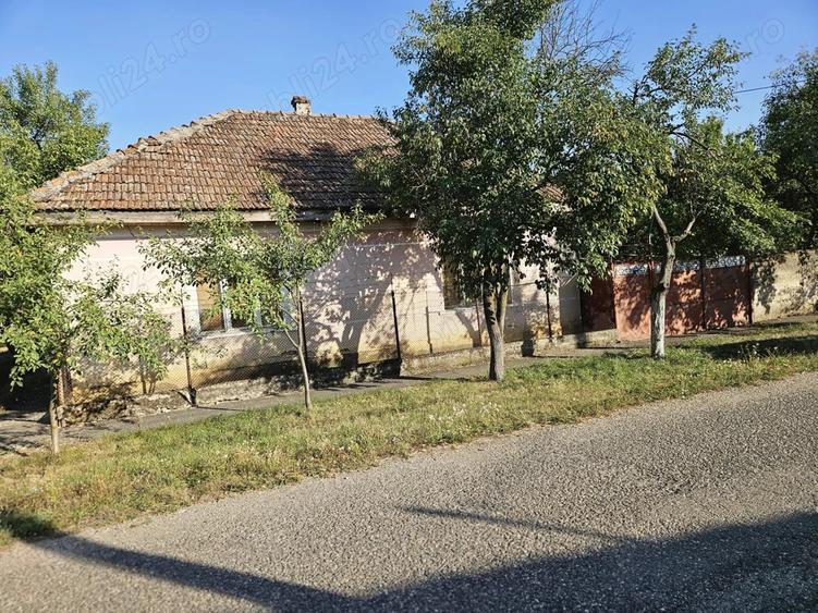 Vand teren + casa si anexa in Vladimirescu, jud. Arad - 2