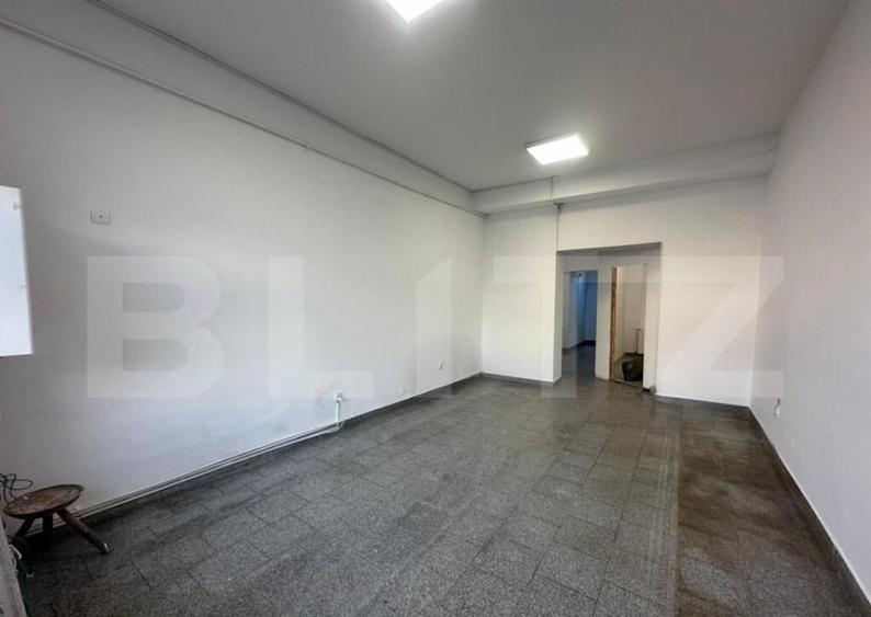 Spatiu cu vad pietonal si auto, zona Ultracentrala - 4