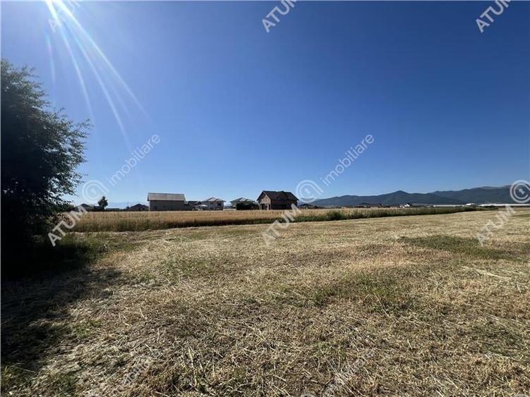 Teren extravilan de 10400 mp cu 2 deschideri in Cristian zona Serelor - 2