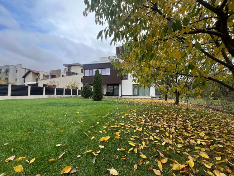 Dimitrie Leonida Metrou - 38