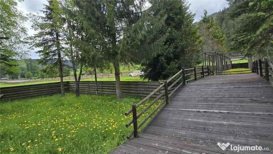 Casa de Vacanta la Munte! In Bucovina! De ! 0727817187 - 11