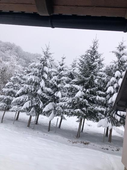 Avantajos casa in suprafata de 320 mp - 6