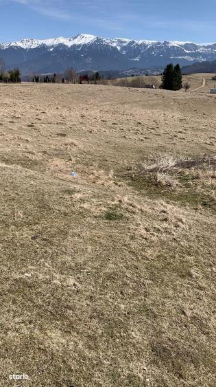 Teren de vanzare in mediul rural, acces asfaltat - 4