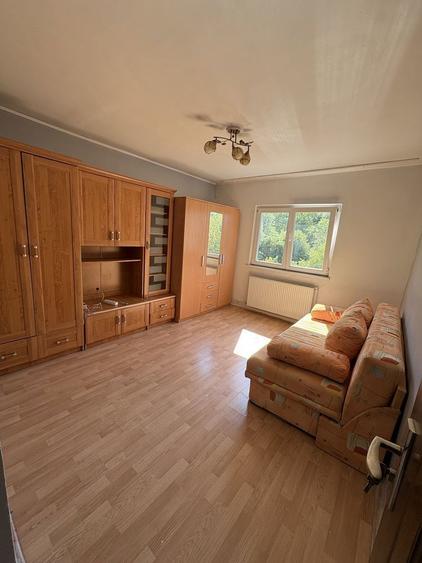 Apartament 1 camera de inchiriat - 1