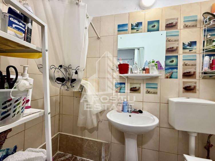 Apartament o camera, curte, terasa 20mp, centrala proprie, zona Fabric - 11