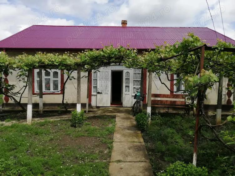 Casa batraneasca cu anexe si teren Loturi Enescu Dorohoi - 6