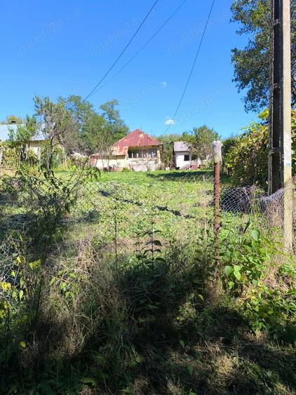 Gospodarie in Jud. Valcea, com. Pe?ceana, sat Ursoaia, 2 case ?i anexe - 3