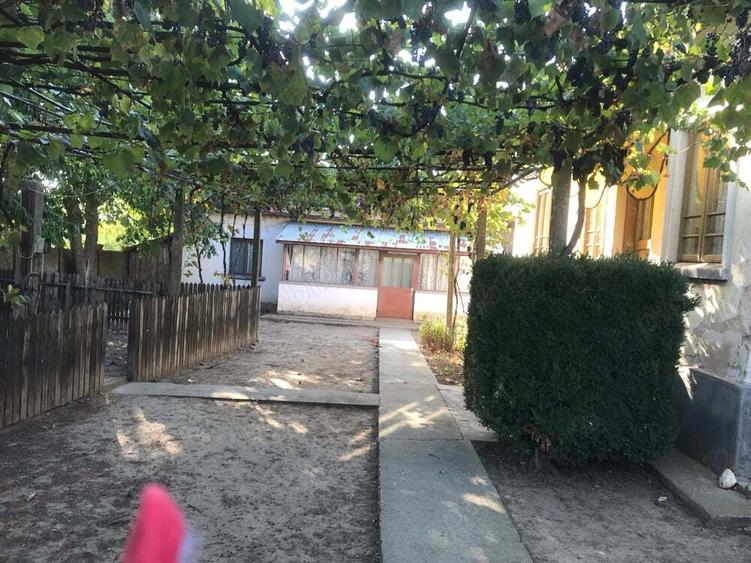 Vand casa + teren - 5