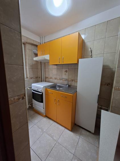 Obor, Colentina, Teiul Doamnei vav Sectia 7 Politie - 7