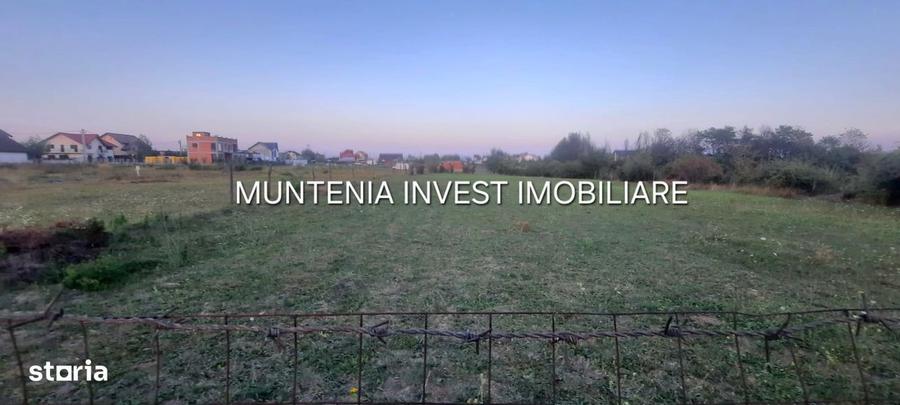 Teren 6000 mp. intravilan Smeura, str. Olteni - 3