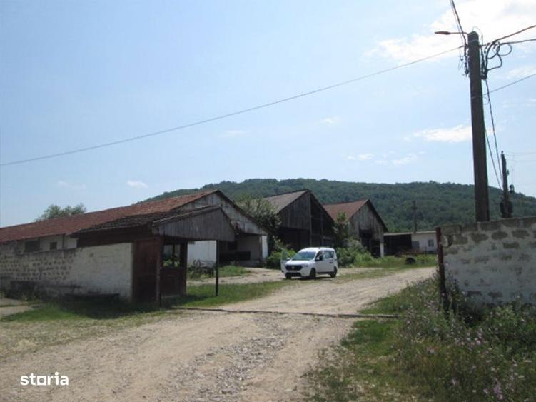 Teren agricol de 12 579 mp si contructii 5 161 mp - 2