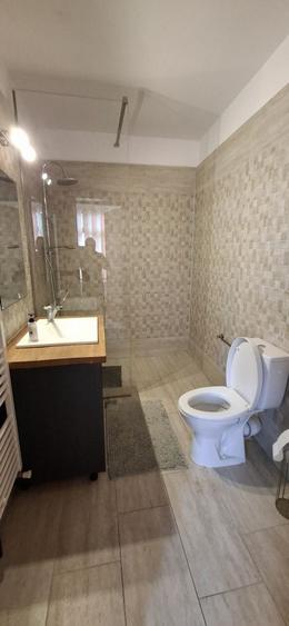 casa saseasca singur curte Cristian central - 2