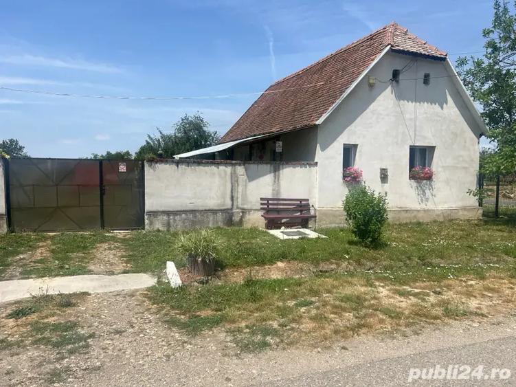 vand casa la tara - 8