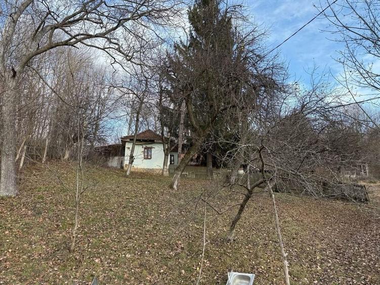 Casă cu 2 camere în Nistorești