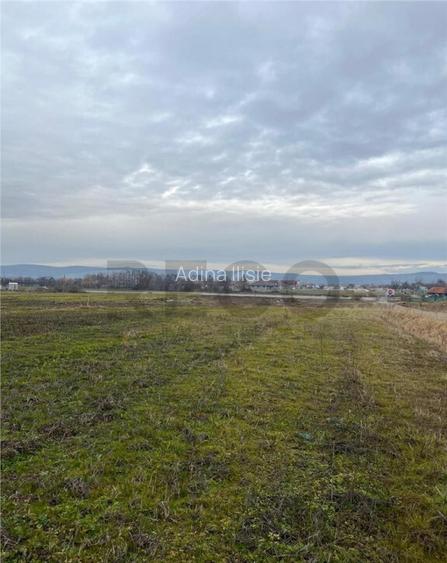 RECO Teren intravilan cu PUZ in Osorhei